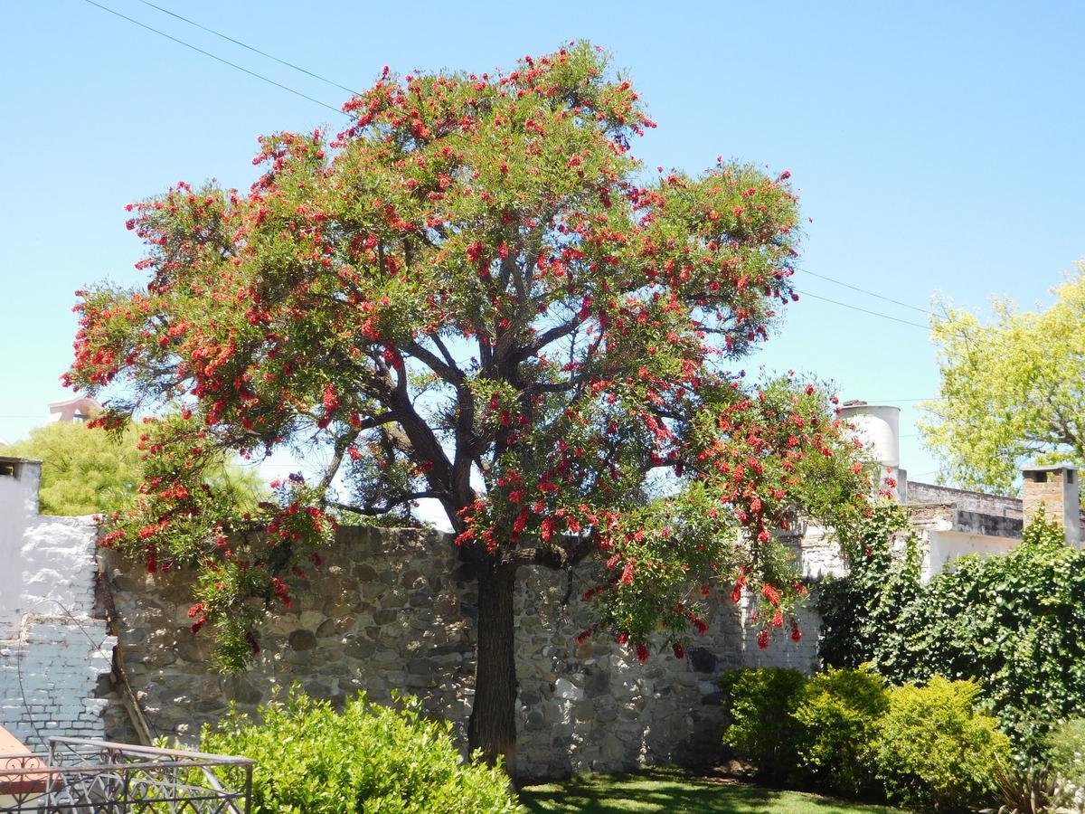 La Posada 알타  그라시아 외부 사진